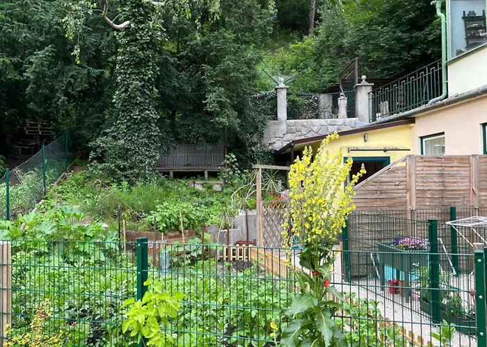 Schoene Im Helenental Appartamento *